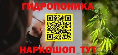 индика Рязань
