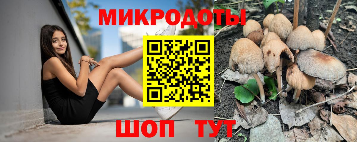 Псилоцибиновые грибы прущие грибы Свободный