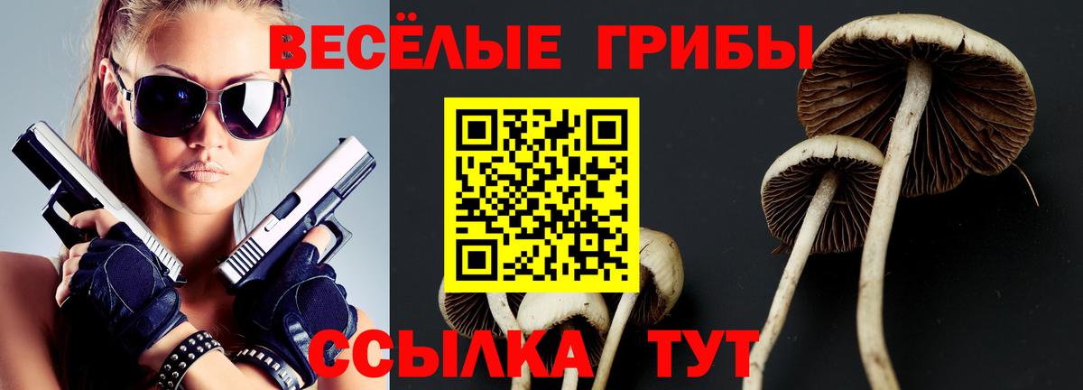 Псилоцибиновые грибы Magic Shrooms  Вход с VPN  Свободный 